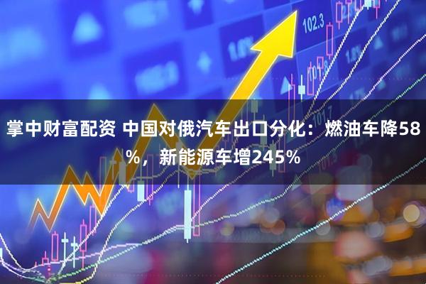 掌中财富配资 中国对俄汽车出口分化：燃油车降58%，新能源车增245%