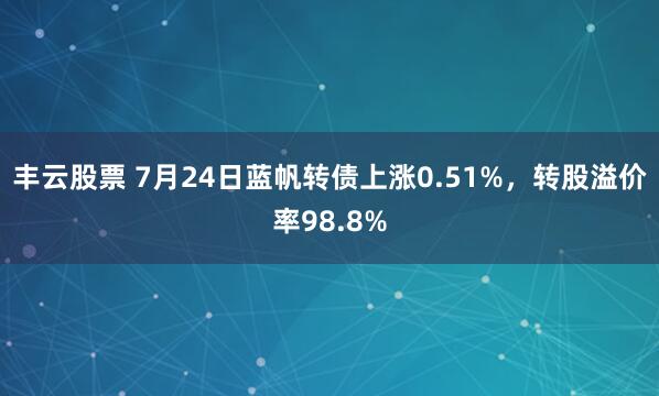 丰云股票 7月24日蓝帆转债上涨0.51%，转股溢价率98.8%